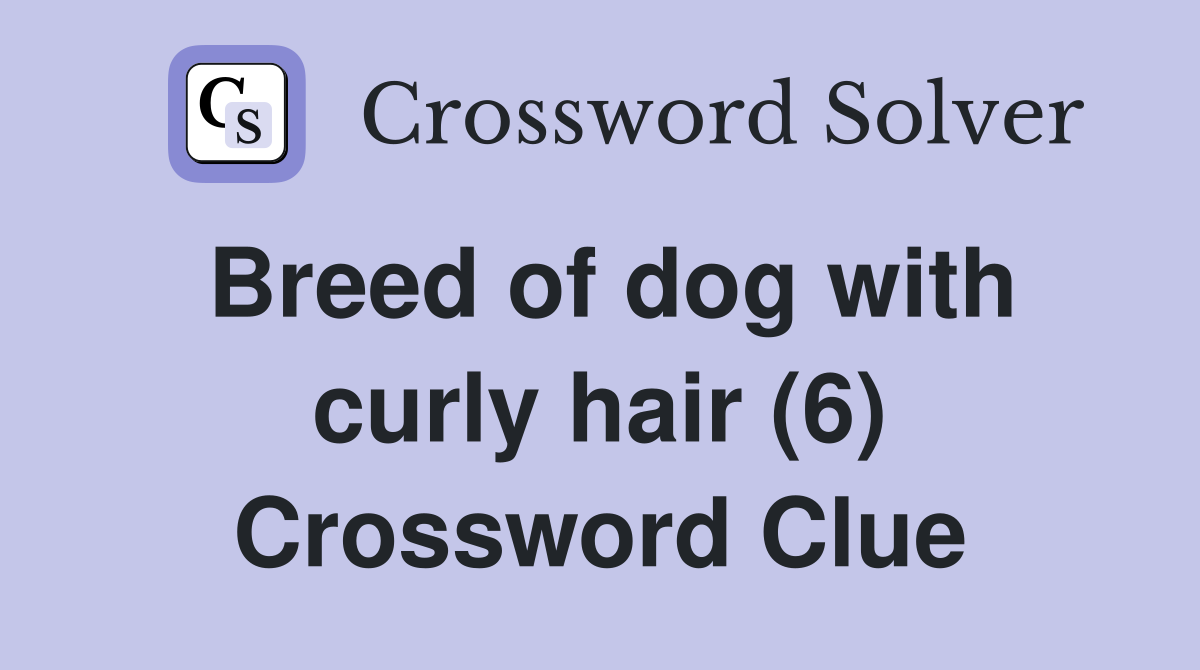 Breed of dog with curly hair (6) Crossword Clue Answers Crossword